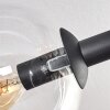 Gastor Taklampa, kullampa Amber, Klart, Rökfärger, 6-ljuskällor
