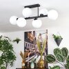 Gastor Taklampa, kullampa Vit, 6-ljuskällor
