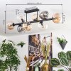 Chehalis Taklampa, kullampa Amber, Klart, Rökfärger, 8-ljuskällor