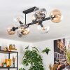 Chehalis Taklampa, kullampa Amber, Klart, Rökfärger, 8-ljuskällor