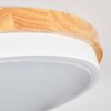 Hiral Taklampa, Panel LED Naturfärger, Vit, 1-ljuskällor