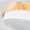 Hiral Taklampa, Panel LED Naturfärger, Vit, 1-ljuskällor