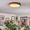 Hiral Taklampa, Panel LED Naturfärger, Svart, 1-ljuskällor