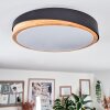 Hiral Taklampa, Panel LED Naturfärger, Svart, 1-ljuskällor