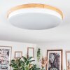 Hiral Taklampa, Panel LED Naturfärger, Vit, 1-ljuskällor, Fjärrkontroll