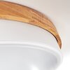 Hiral Taklampa, Panel LED Naturfärger, Vit, 1-ljuskällor, Fjärrkontroll