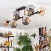 Chehalis Taklampa, kullampa Amber, Rökfärger, 10-ljuskällor