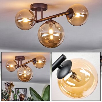 Chehalis Taklampa, kullampa Amber, 3-ljuskällor