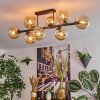 Gastor Taklampa, kullampa Amber, 8-ljuskällor