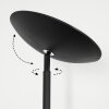 Dillingby Golvlampa LED Svart, 2-ljuskällor
