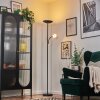 Dillingby Golvlampa LED Svart, 2-ljuskällor