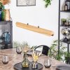 Fugelsta Pendellampa, Pendelbelysning LED Svart, 1-ljuskällor