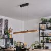 Fugelsta Pendellampa, Pendelbelysning LED Svart, 1-ljuskällor