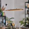 Fugelsta Pendellampa, Pendelbelysning LED Svart, 1-ljuskällor