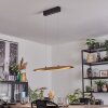 Fugelsta Pendellampa, Pendelbelysning LED Svart, 1-ljuskällor