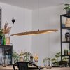Fugelsta Pendellampa, Pendelbelysning LED Svart, 1-ljuskällor