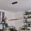 Fugelsta Pendellampa, Pendelbelysning LED Svart, 1-ljuskällor