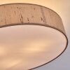 Foggia Taklampa Nickel matt, 3-ljuskällor