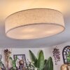 Foggia Taklampa Nickel matt, 3-ljuskällor