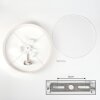 Foggia Taklampa Nickel matt, 3-ljuskällor