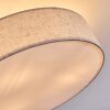 Foggia Taklampa Nickel matt, 3-ljuskällor