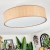 Foggia Taklampa Nickel matt, 3-ljuskällor