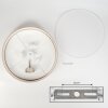 Foggia Taklampa Nickel matt, 3-ljuskällor