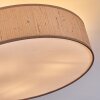 Foggia Taklampa Nickel matt, 3-ljuskällor