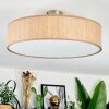 Foggia Taklampa Nickel matt, 3-ljuskällor