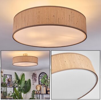Foggia Taklampa Nickel matt, 3-ljuskällor