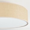 Foggia Taklampa Nickel matt, 3-ljuskällor