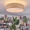 Foggia Taklampa Nickel matt, 3-ljuskällor