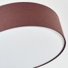 Foggia Taklampa Nickel matt, 3-ljuskällor