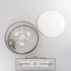 Foggia Taklampa Nickel matt, 3-ljuskällor