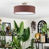 Foggia Taklampa Nickel matt, 3-ljuskällor