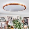 Nogueira Taklampa, Panel LED Naturfärger, Vit, 1-ljuskällor, Fjärrkontroll