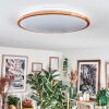Nogueira Taklampa, Panel LED Naturfärger, Vit, 1-ljuskällor, Fjärrkontroll