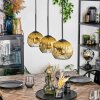 Koyoto Pendellampa, kullampa, Pendelbelysning Guld, Klart, 3-ljuskällor