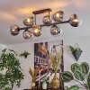 Gastor Taklampa, kullampa Krom, Klart, Rökfärger, 8-ljuskällor