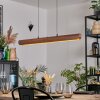 Fugelsta Pendellampa, Pendelbelysning LED Svart, 1-ljuskällor