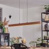 Fugelsta Pendellampa, Pendelbelysning LED Svart, 1-ljuskällor
