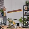 Fugelsta Pendellampa, Pendelbelysning LED Svart, 1-ljuskällor