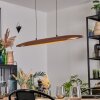 Fugelsta Pendellampa, Pendelbelysning LED Svart, 1-ljuskällor