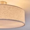 Foggia Taklampa Nickel matt, 3-ljuskällor