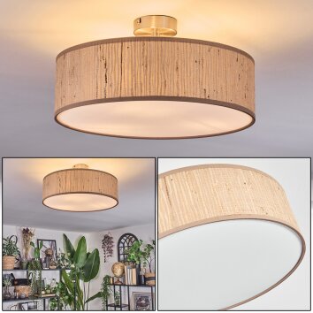Foggia Taklampa Nickel matt, 3-ljuskällor