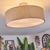 Foggia Taklampa Nickel matt, 3-ljuskällor
