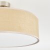 Foggia Taklampa Nickel matt, 3-ljuskällor