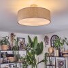 Foggia Taklampa Nickel matt, 3-ljuskällor