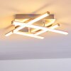 Eriz Taklampa LED Nickel matt, 4-ljuskällor, Fjärrkontroll, Färgväxlare