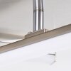 Eriz Taklampa LED Nickel matt, 4-ljuskällor, Fjärrkontroll, Färgväxlare